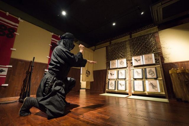 togakure ryu ninjutsu schools